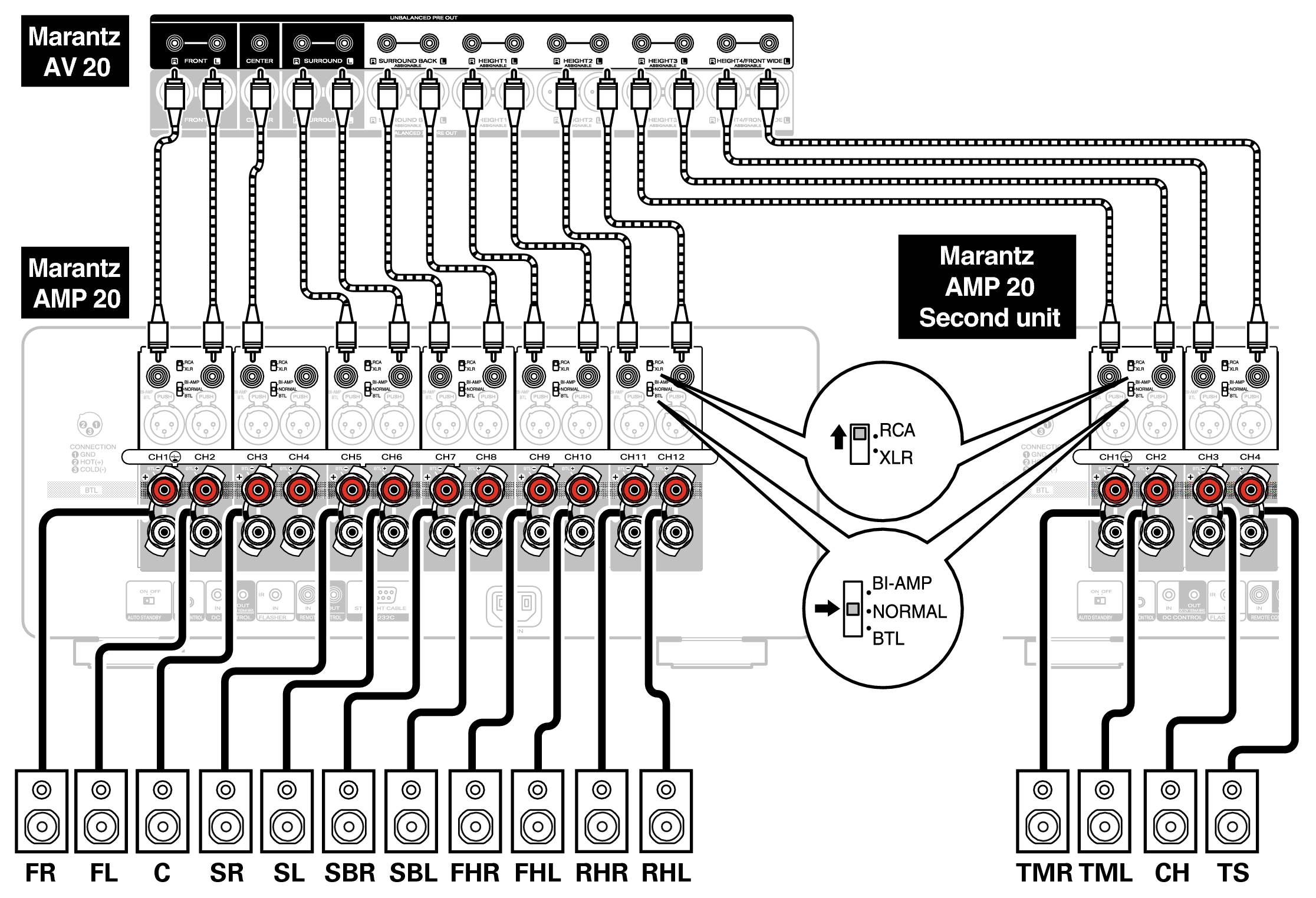 Conne SP Unbalanced AMP20
